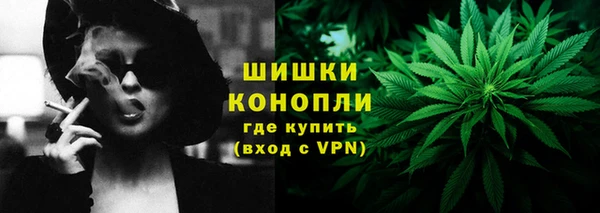 2c-b Новозыбков