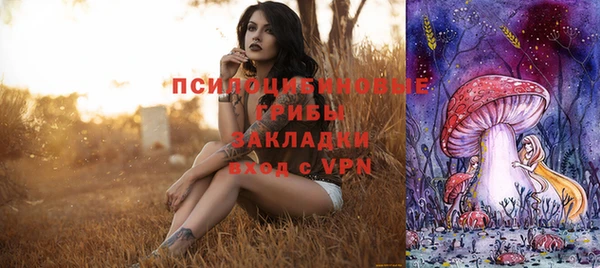 бошки Новокубанск
