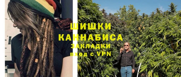 метадон Новодвинск